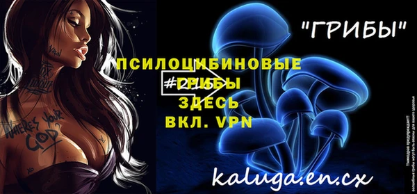 дмт Абаза