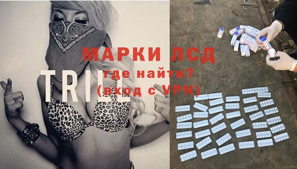 дмт Абаза